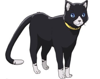Morgana 