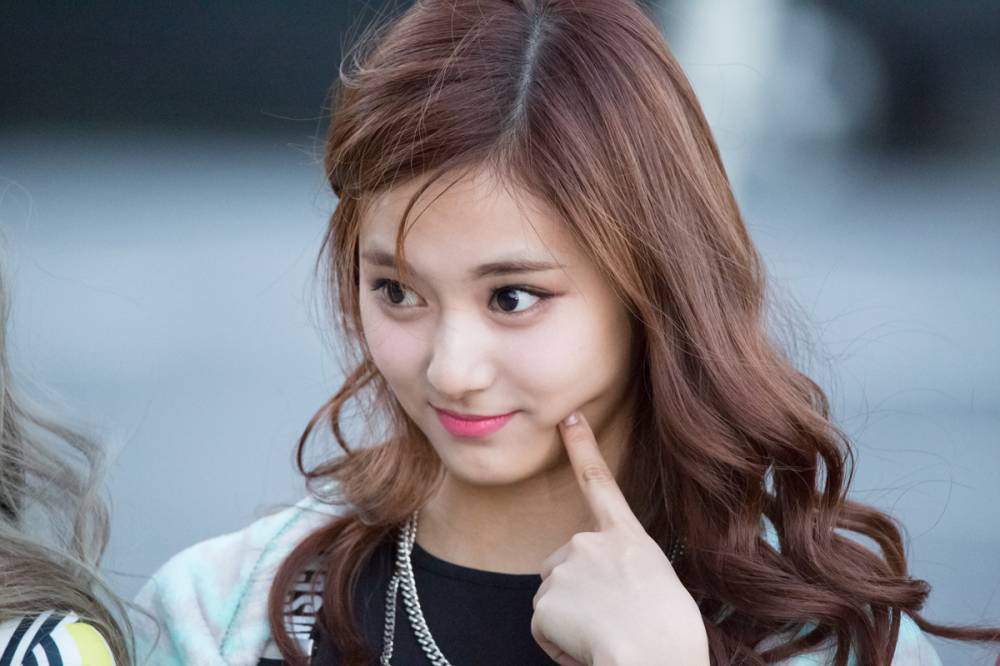 Yoda Tzuyu | Wiki | Twice (트와이스)ㅤ Amino