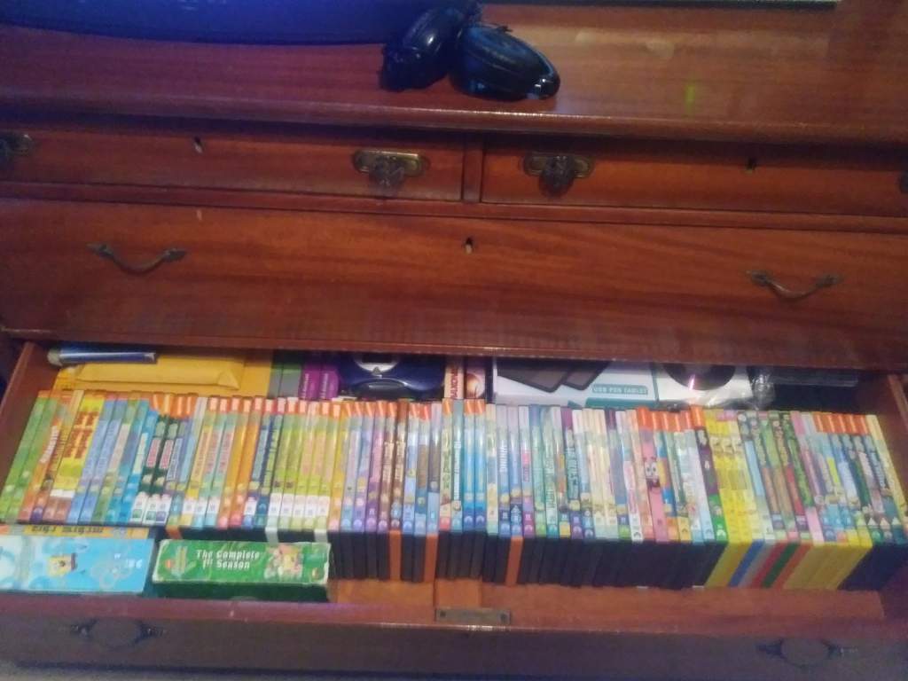 My Spongebob Dvd Collection In More Detail Of What I Have Spongebob Squarepants Amino