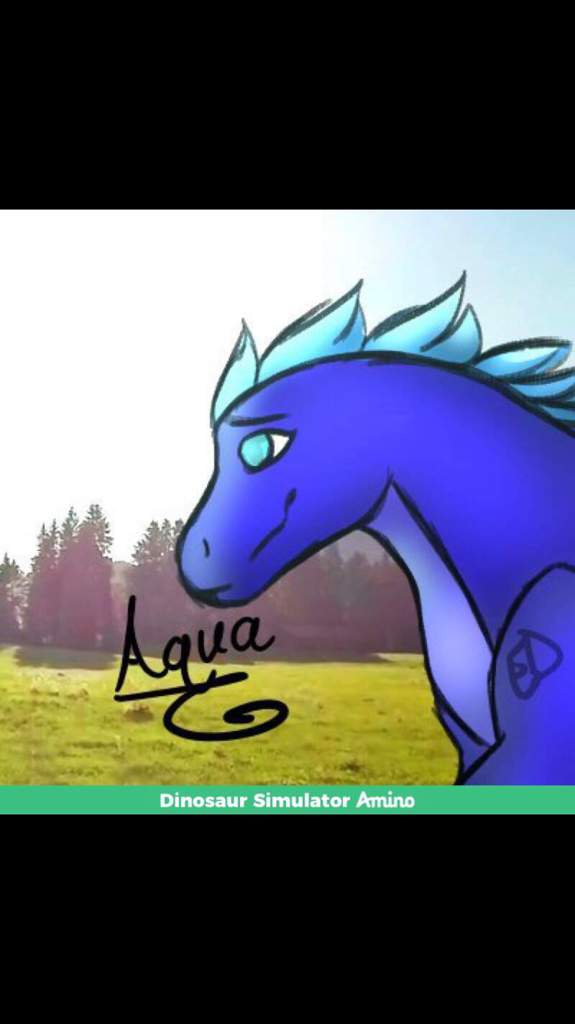 dinosaur aqua doodle