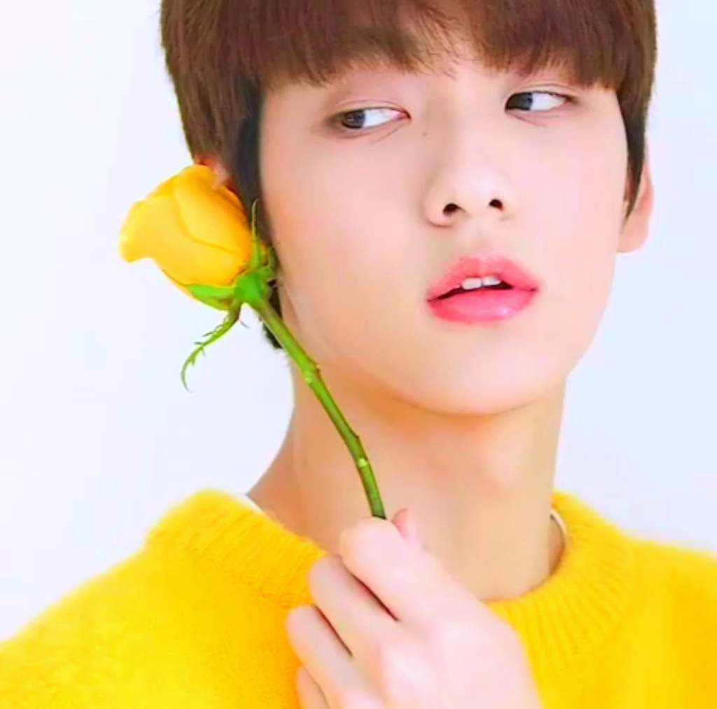 (Información) Soobin | TXT •tomorrow x together•. Amino