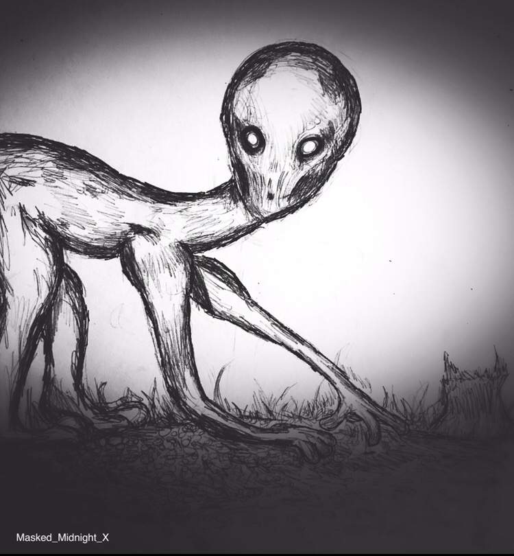 The Creepy Cryptid Drawing Collection Horror Amino