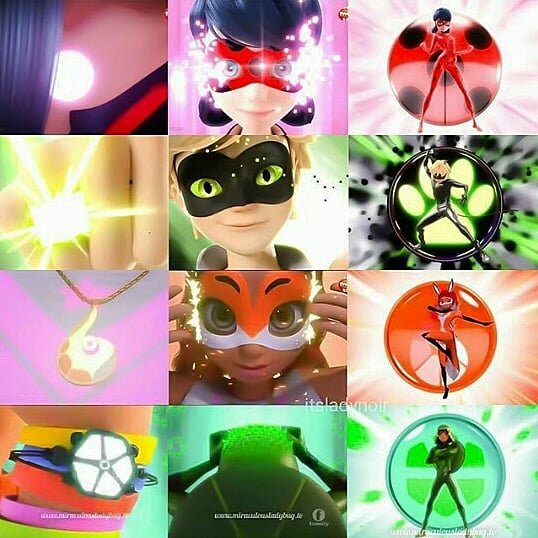 Miraculous Transformations!!🐱🐞🦊🐢 | Miraculous Amino