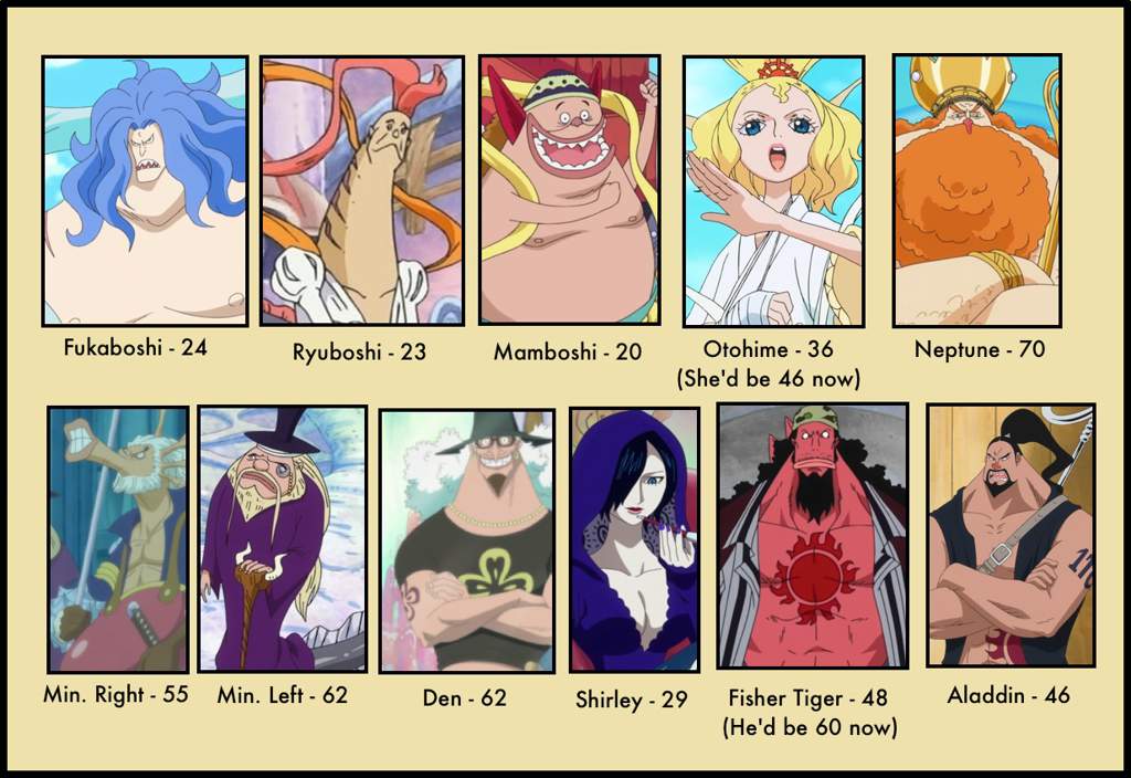 Vivre Card Databook Volume 5 One Piece Amino