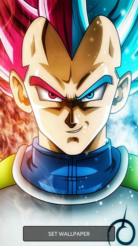 Quem apoia o Príncipe dos sayajins | Wiki | Dragon Ball Super Oficial™ㅤ ...