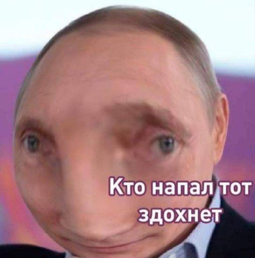 МЕМ Putin MEM Мем путина 2024 ВКонтакте