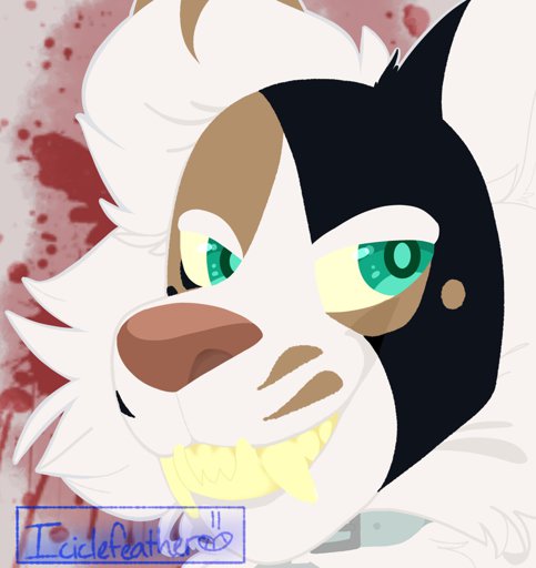 F2U BASES! | Furry Amino