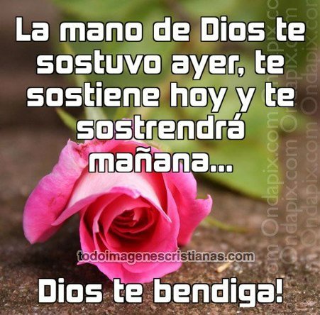 Hola!!! Saludos... Tu que lees bendiciones!!! | ∝Somos Cristianos∝ Amino