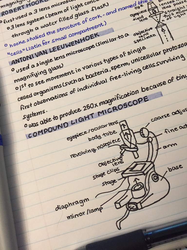 biology coursenotes