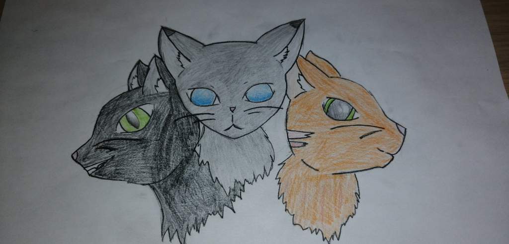 [view 25+] Warrior Cats Bilder Gezeichnet