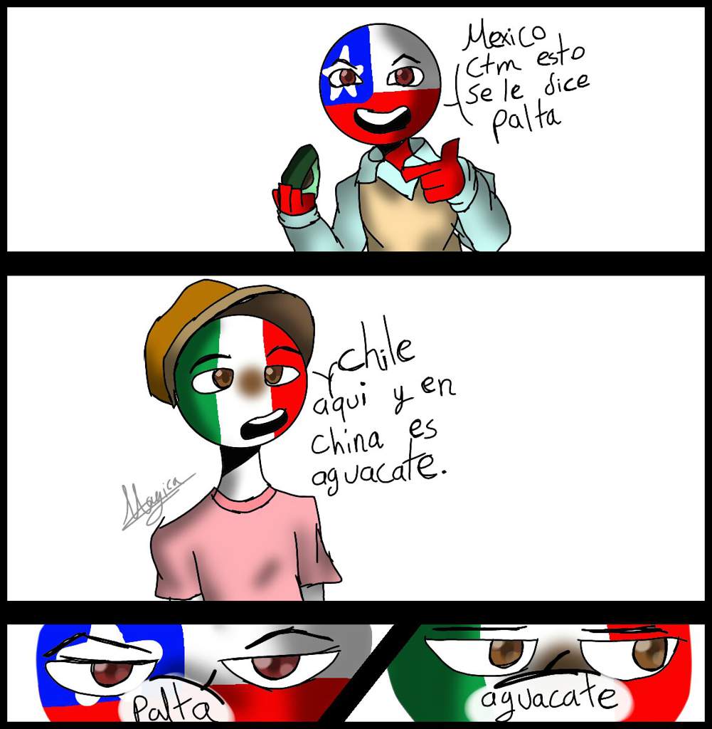chat gay la palta