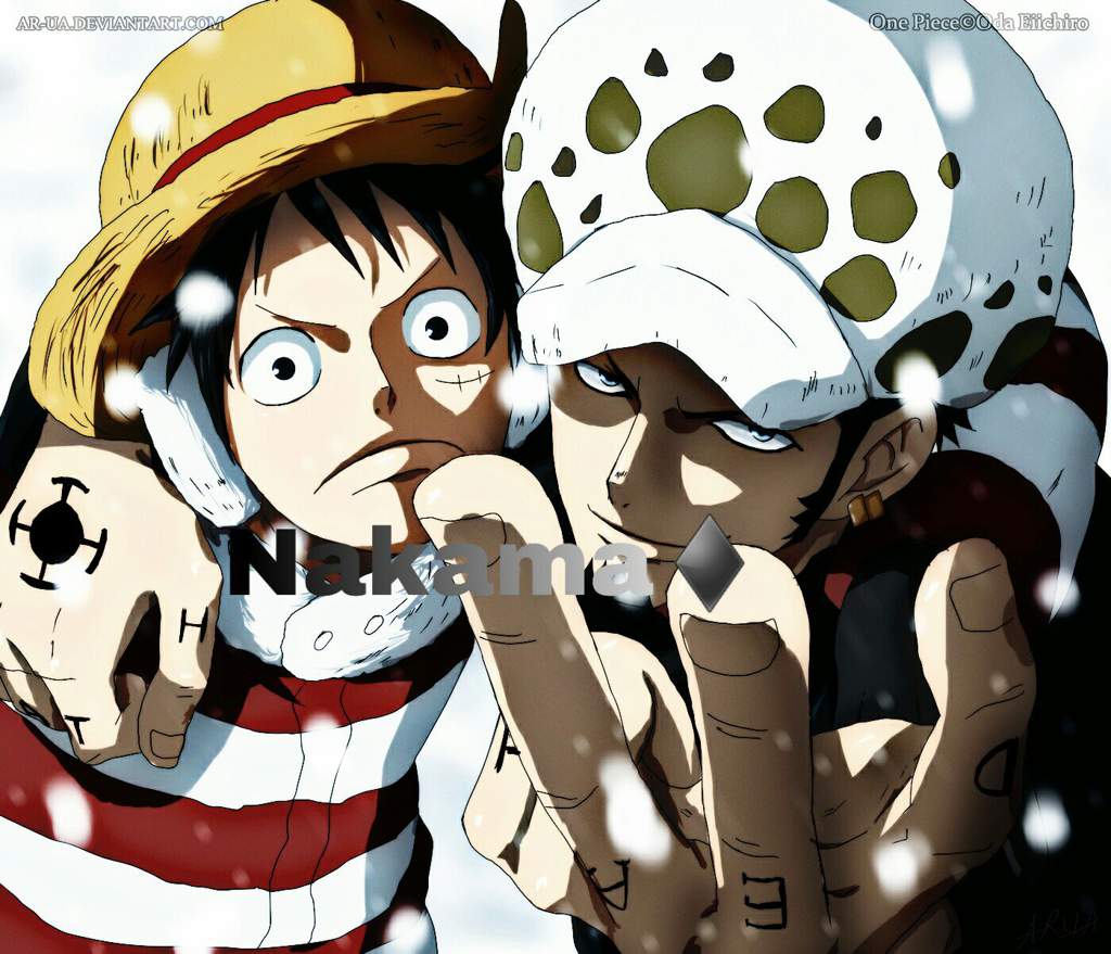 😎Surprise😎 HBD Bro~ | One Piece Amino