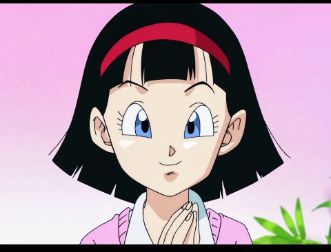 Videl🤗 | Wiki | Dragon Ball Super Oficial™ㅤ Amino