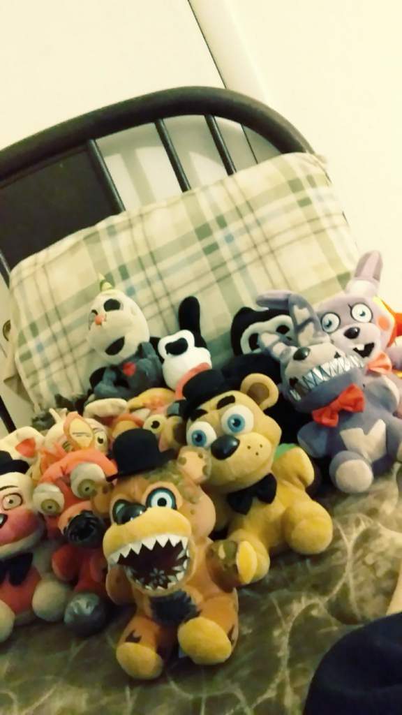 plushys lol