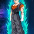 amino-god of destruction vegito-f28c716e