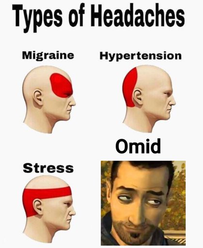 Omid Memes | Wiki | TWDG! Amino