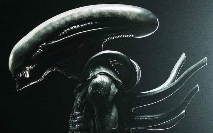 Xenomorph XX121 | Wiki | Alien Versus Predator Universe Amino