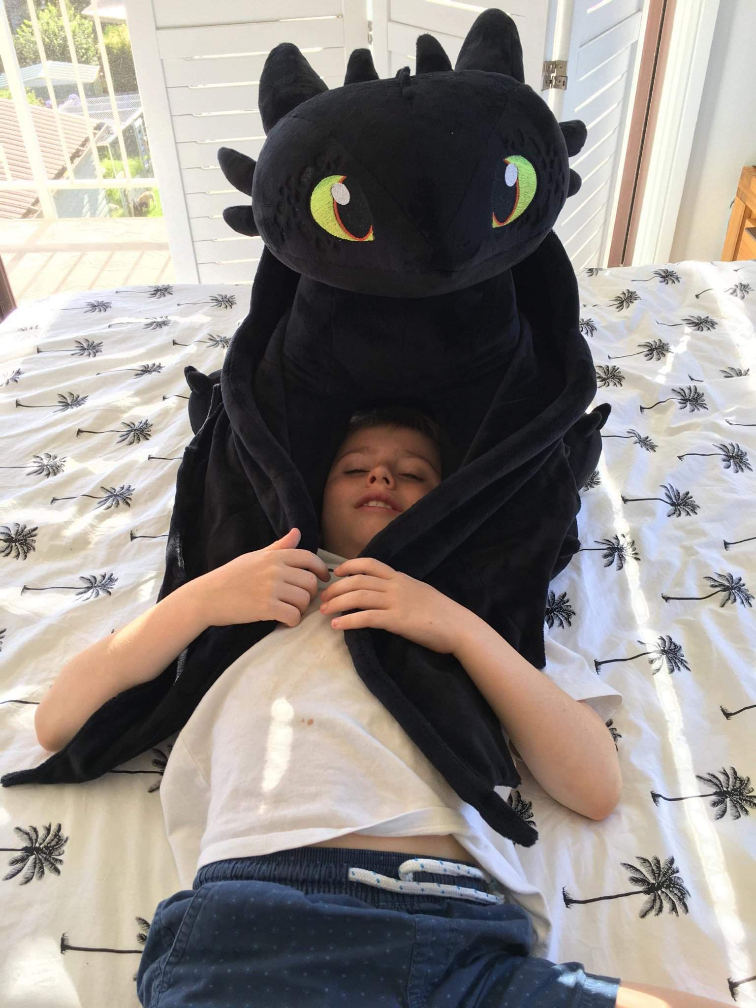 Kid got his Toothless | H.T.T.Y.D Amino