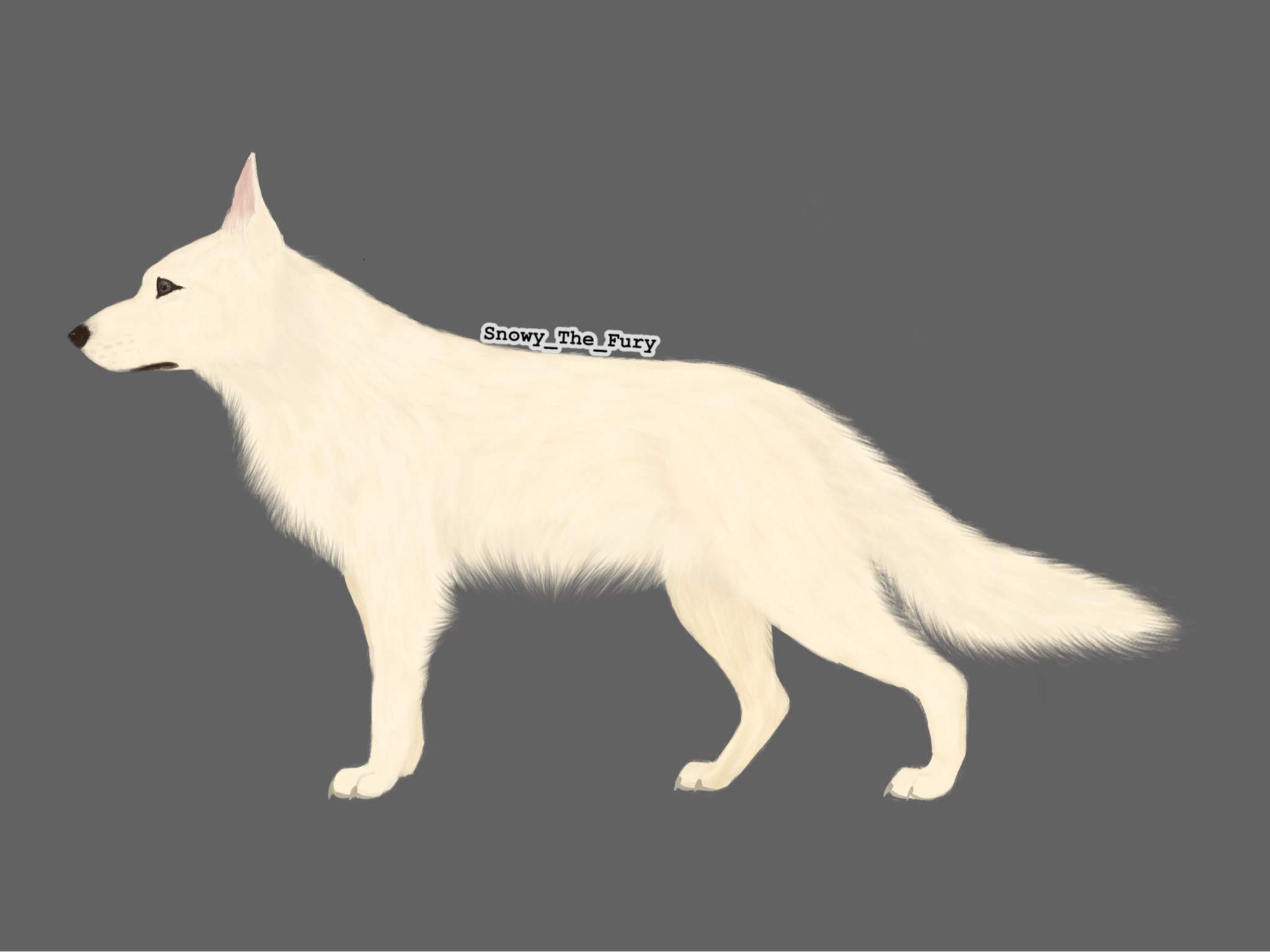 Kaya art | Animal Amino🐾 Amino