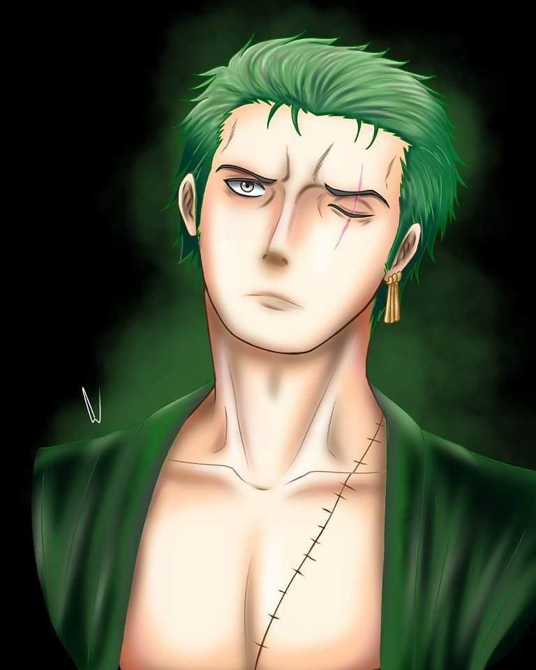 Misadventures of Zoro | Wiki | Anime Amino