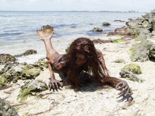 Mythical Creatures That Were Found in Real Life: Mermaid | Monster Facts Amino