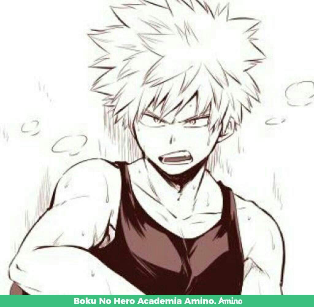 LAS PERRAS | Wiki | Boku No Hero Academia Amino. Amino