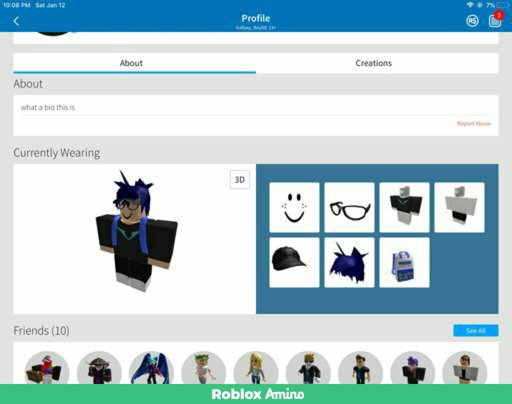 Lucky But Hes Gay Roblox Amino - bday gift for meowkinzzzz aka kat roblox amino