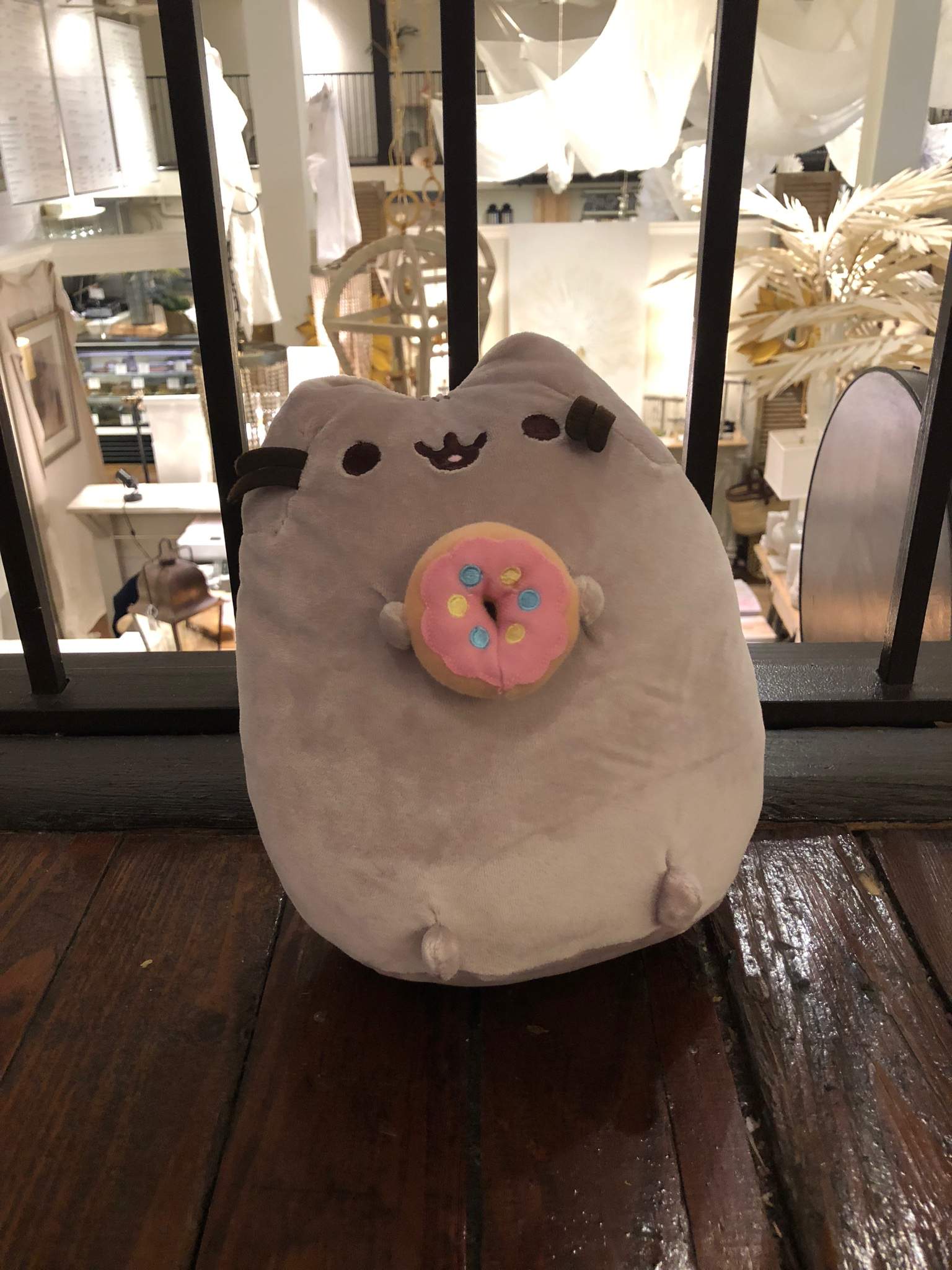 Pusheen At Cafe | Pusheen The Cat Amino Amino