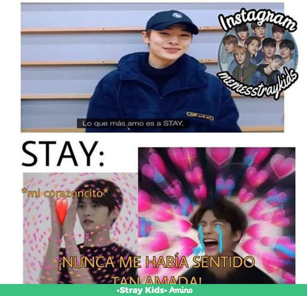 Stray kids mis patrones | Wiki | •Stray Kids• Amino