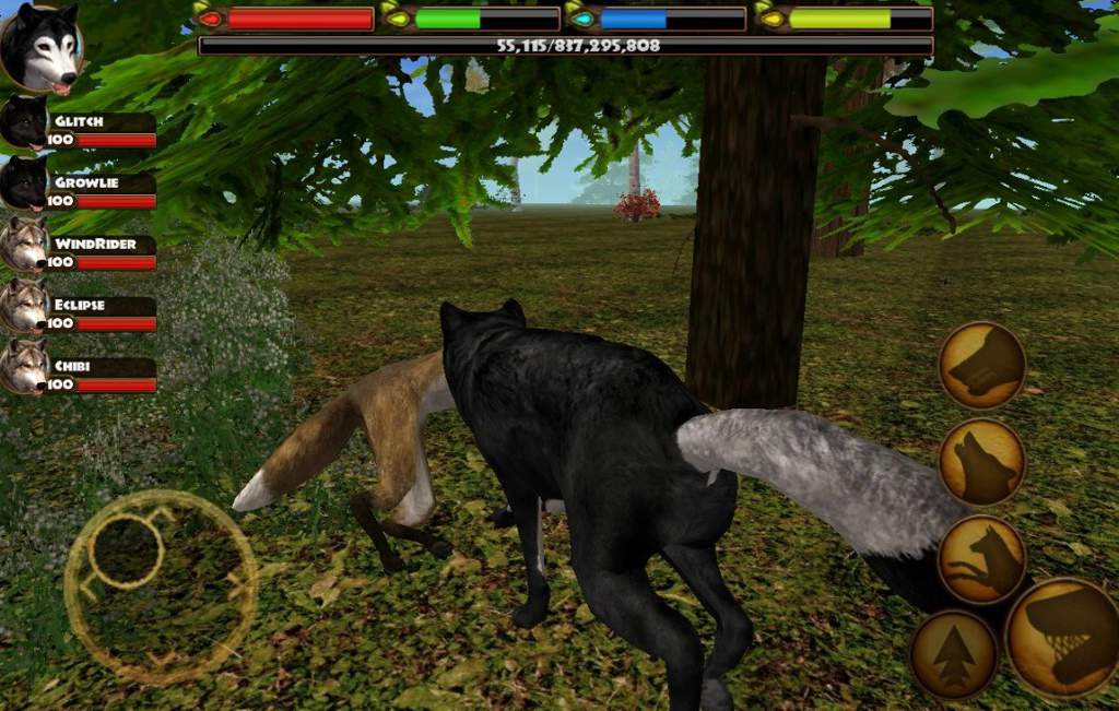 wolf pack games free online everone v