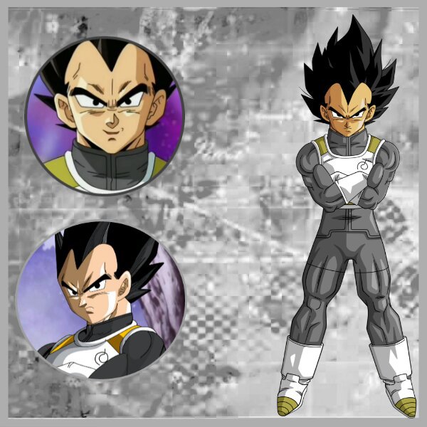 vegeta base