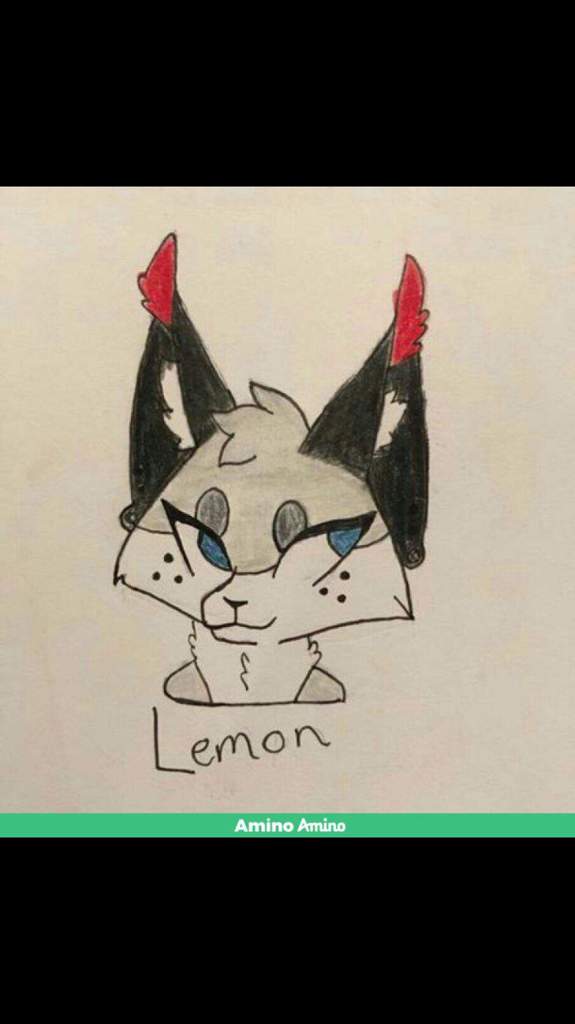 Lemon | Wiki | Furry Amino