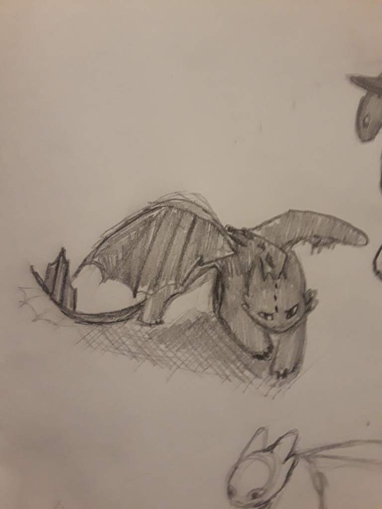 Featured image of post Toothless And Light Fury Drawing