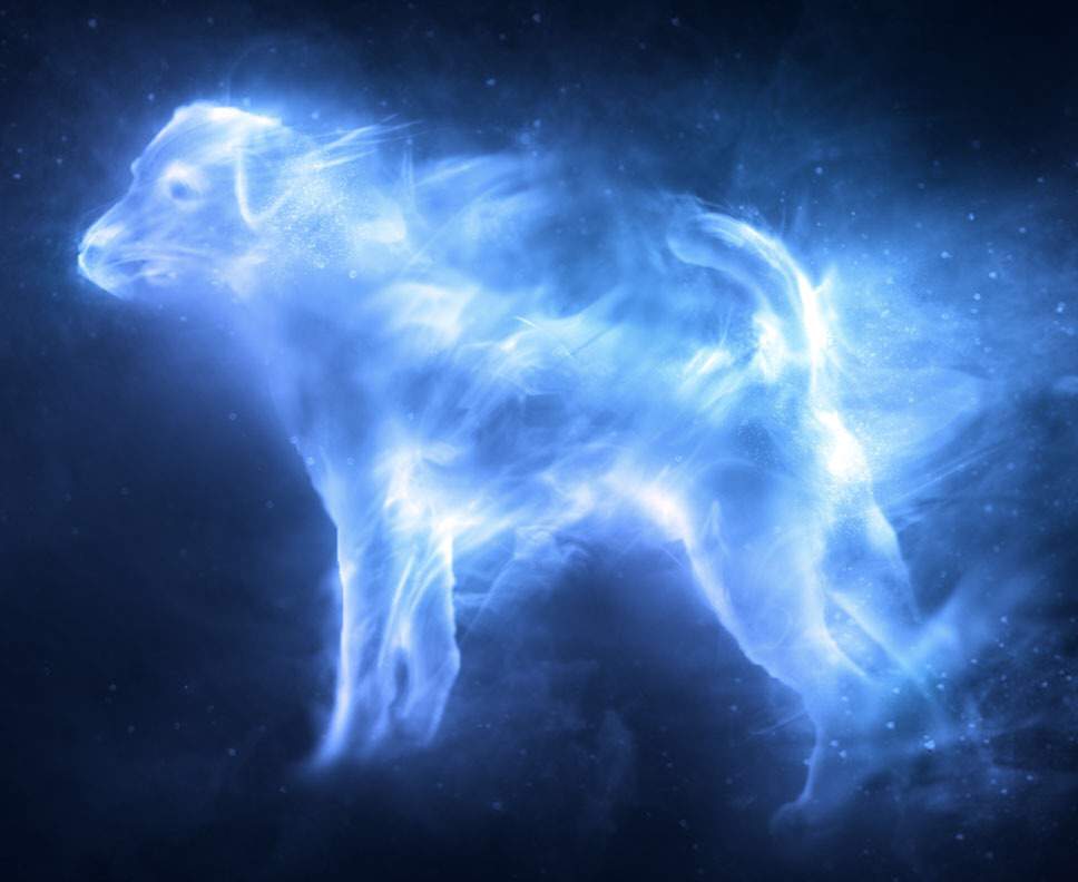 What a Patronus Says About a Character Harry Potter Amino