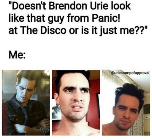 Latest Panic At The Disco Amino