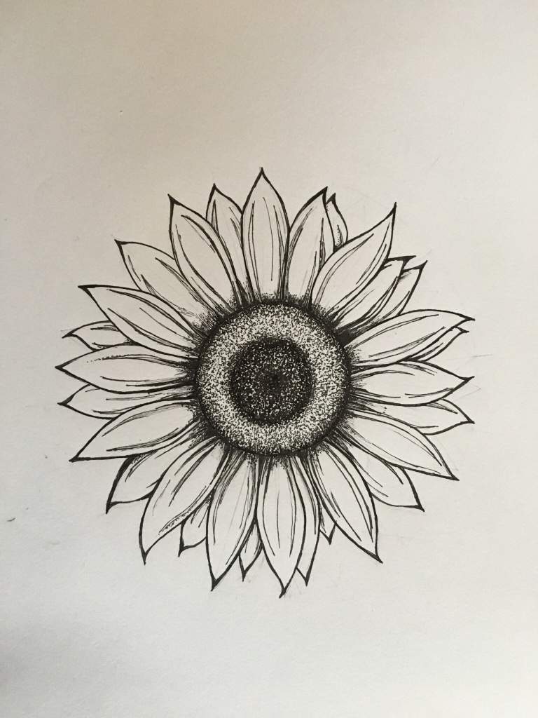 Boceto de girasol | •Arte Amino• Amino