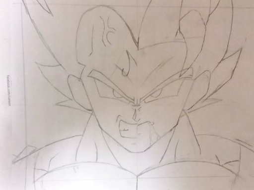 half goku half vegeta