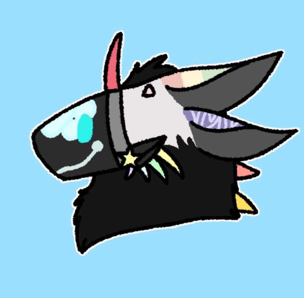 Floyd | Wiki | Furry Amino