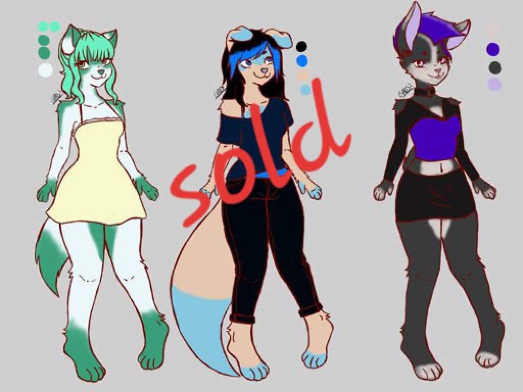 Adopts | Wiki | Furry Amino