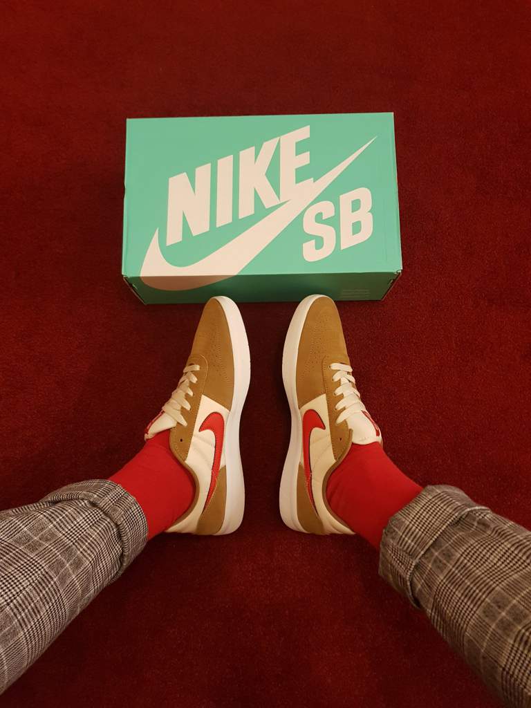 Nike SB Team Classics | Sneakerheads Amino