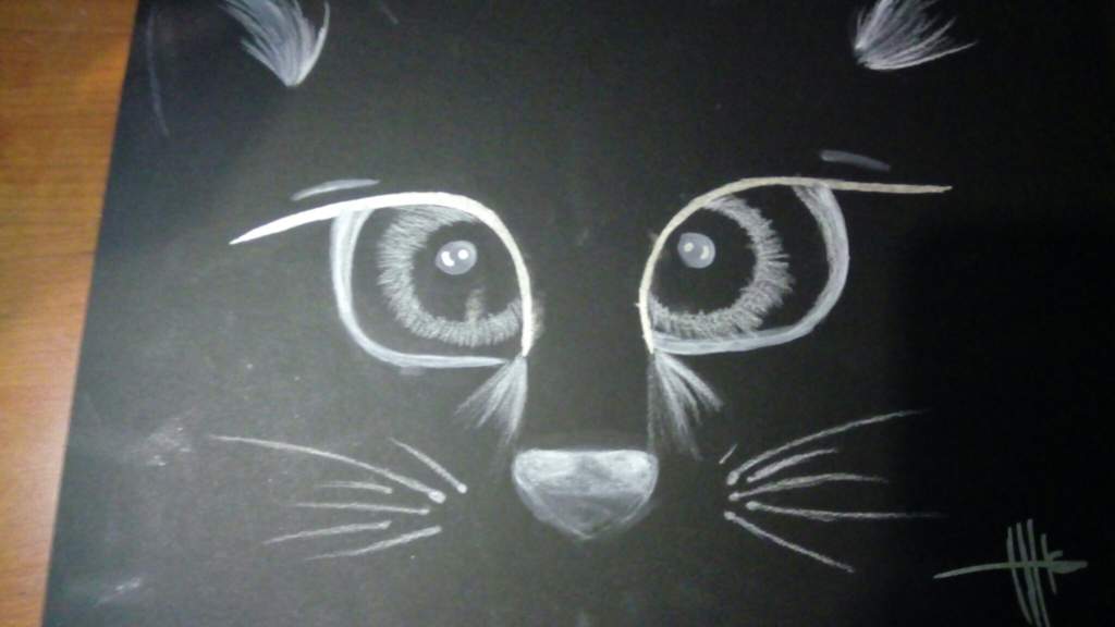 Dibujando gatos | Arte & caos Amino