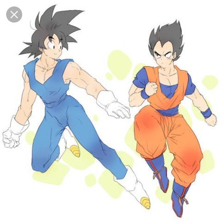 Goku and vegeta ships | Wiki | DragonBallZ Amino