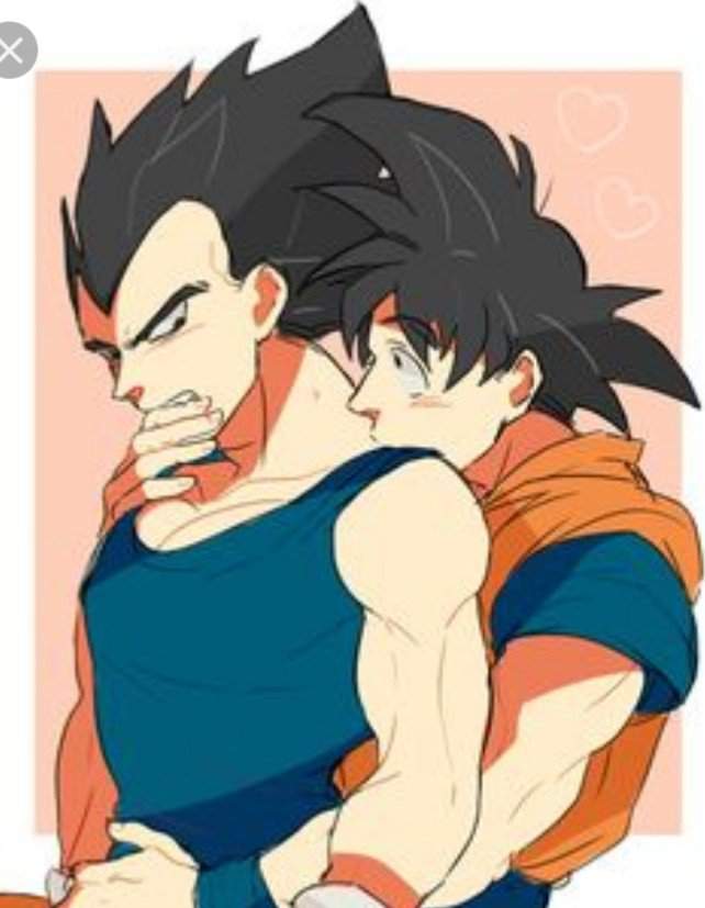 Goku and vegeta ships | Wiki | DragonBallZ Amino