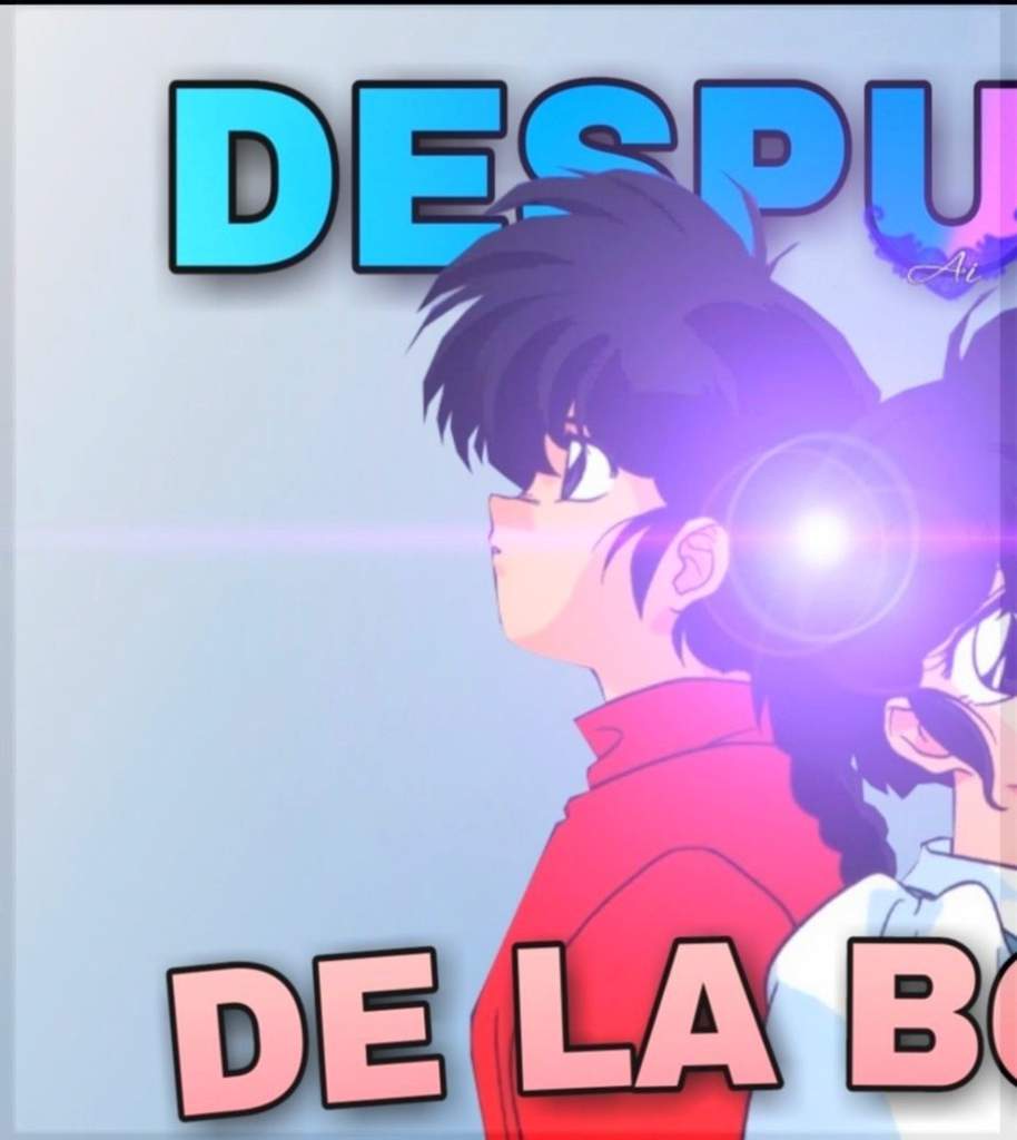 Que paso despues de la boda de Ranma y Akane Ranma 1/2