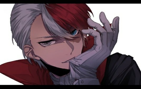  Shoto  Todoroki Manga Cover