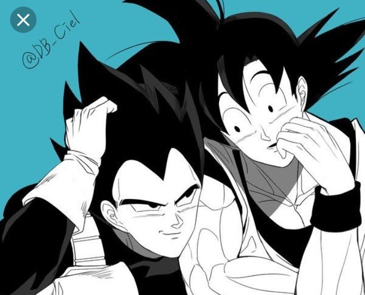 Goku and vegeta ships | Wiki | DragonBallZ Amino