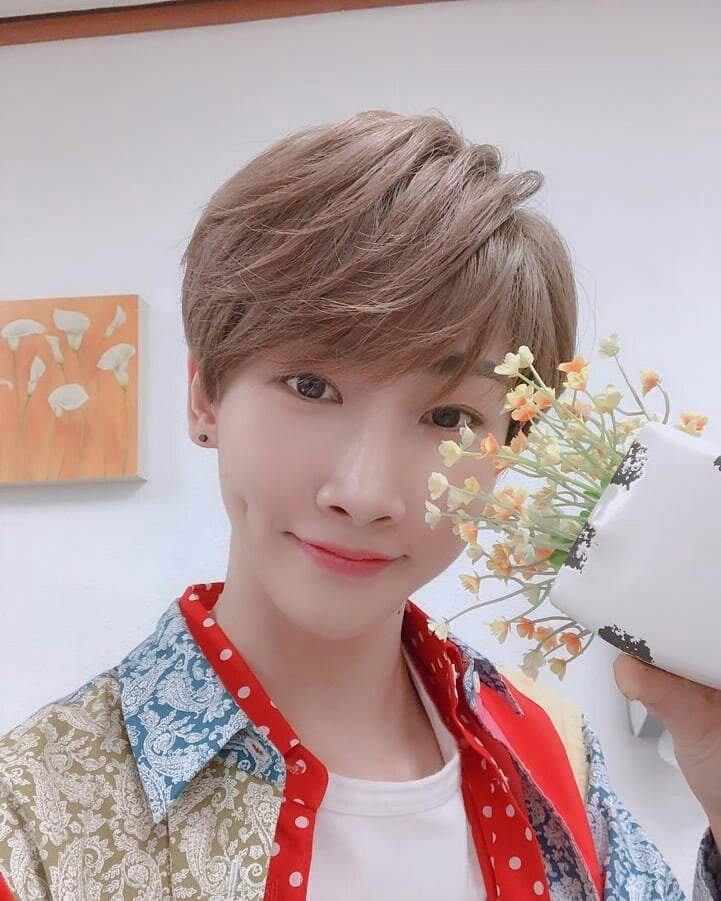 Hoyoung - Verivery | K-Pop Amino