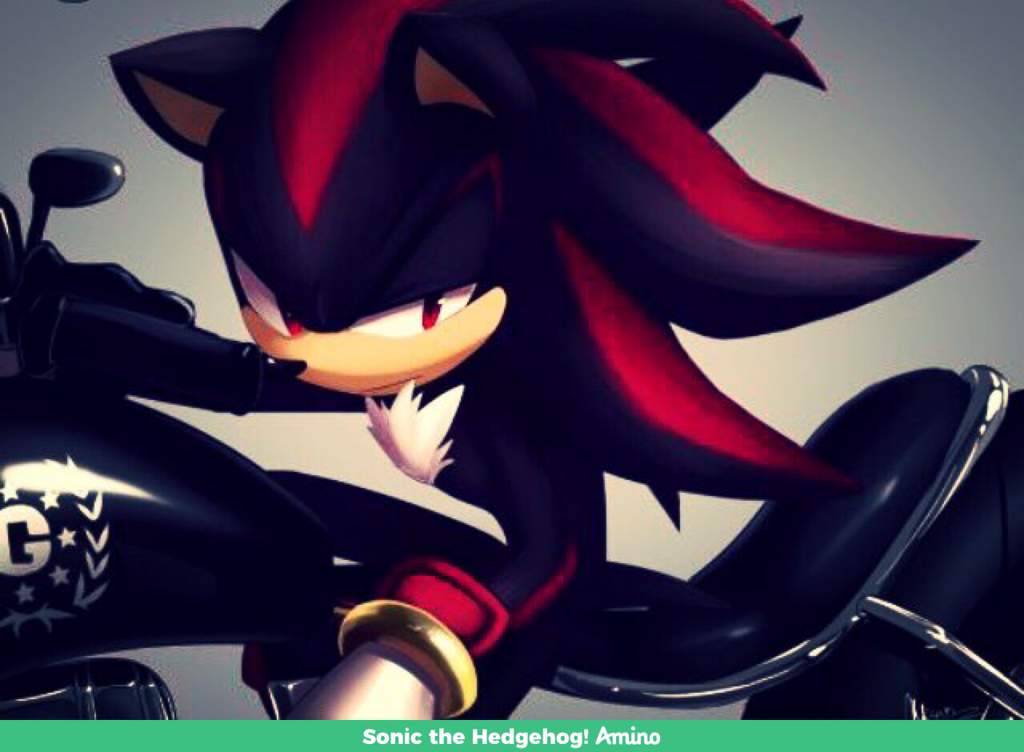 Shadow The Hedgehog Future Sonic The Hedgehog Amino