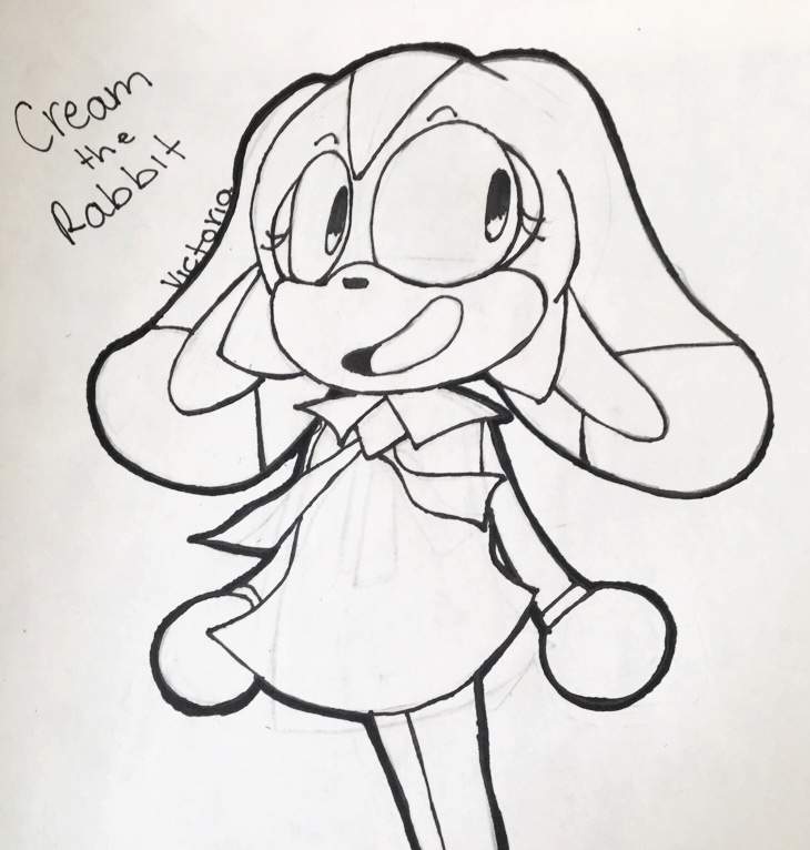 Cream The Rabbit Drawing 