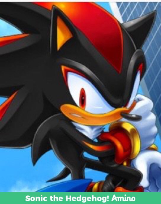 Shadow The Hedgehog Future Sonic The Hedgehog Amino